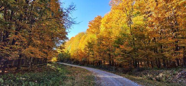 Pogledajte prekrasne fotografije Papuka u jesenskom ruhu