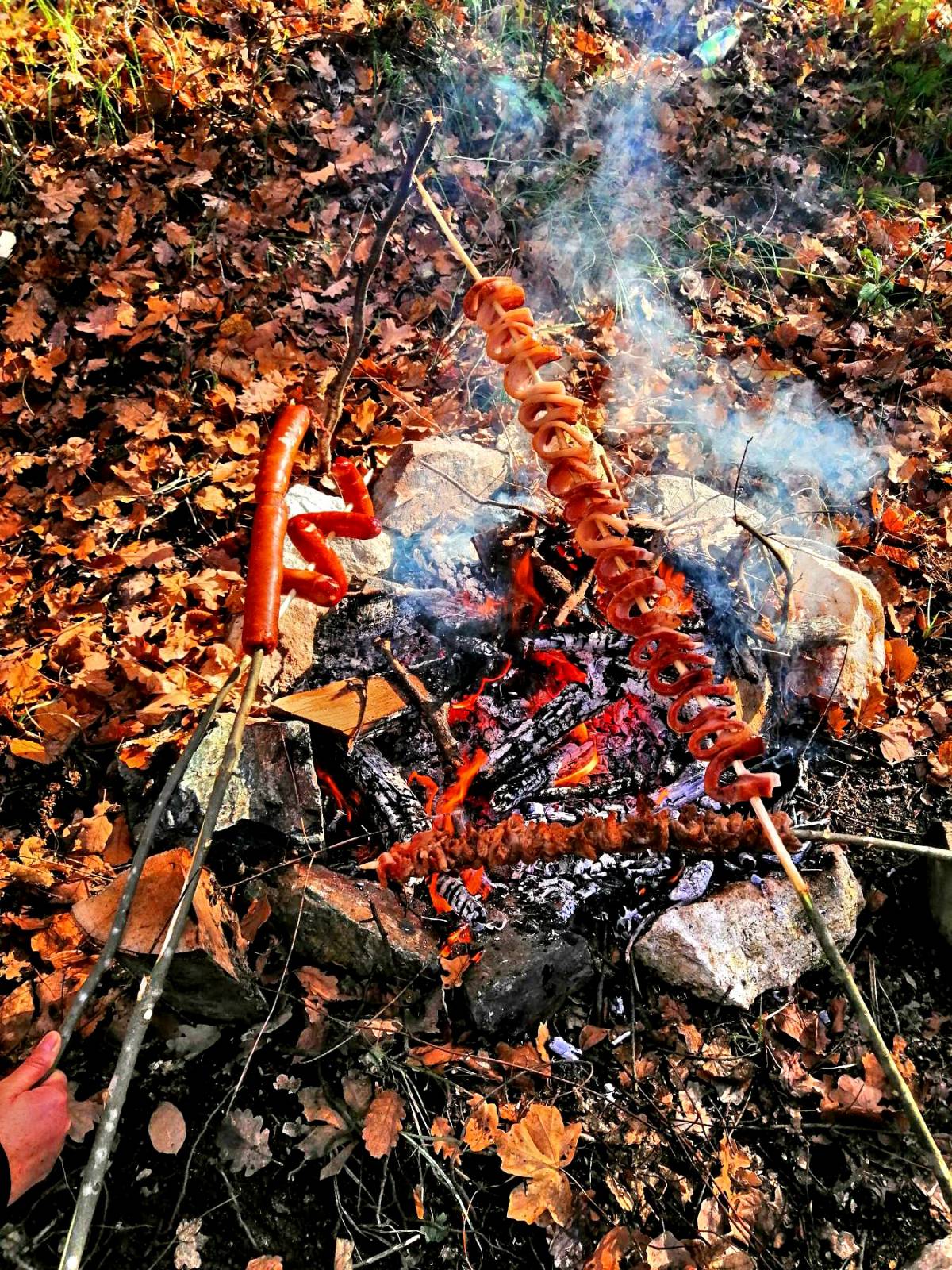 Članovi HPD Gojzerica posjetili Kulu Gračanicu na Požeškoj gori