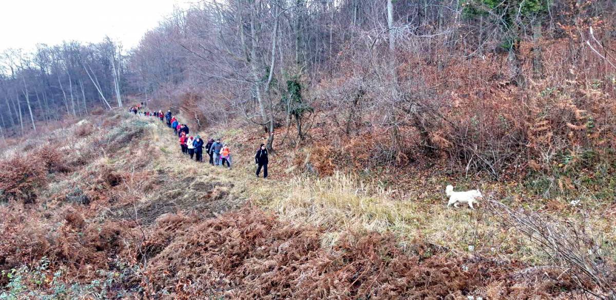 HPD Gojzerica Požega sudjelovalo na 25. Memorijalnom pohodu ʼʼFokinom stazom 1991ʼʼ