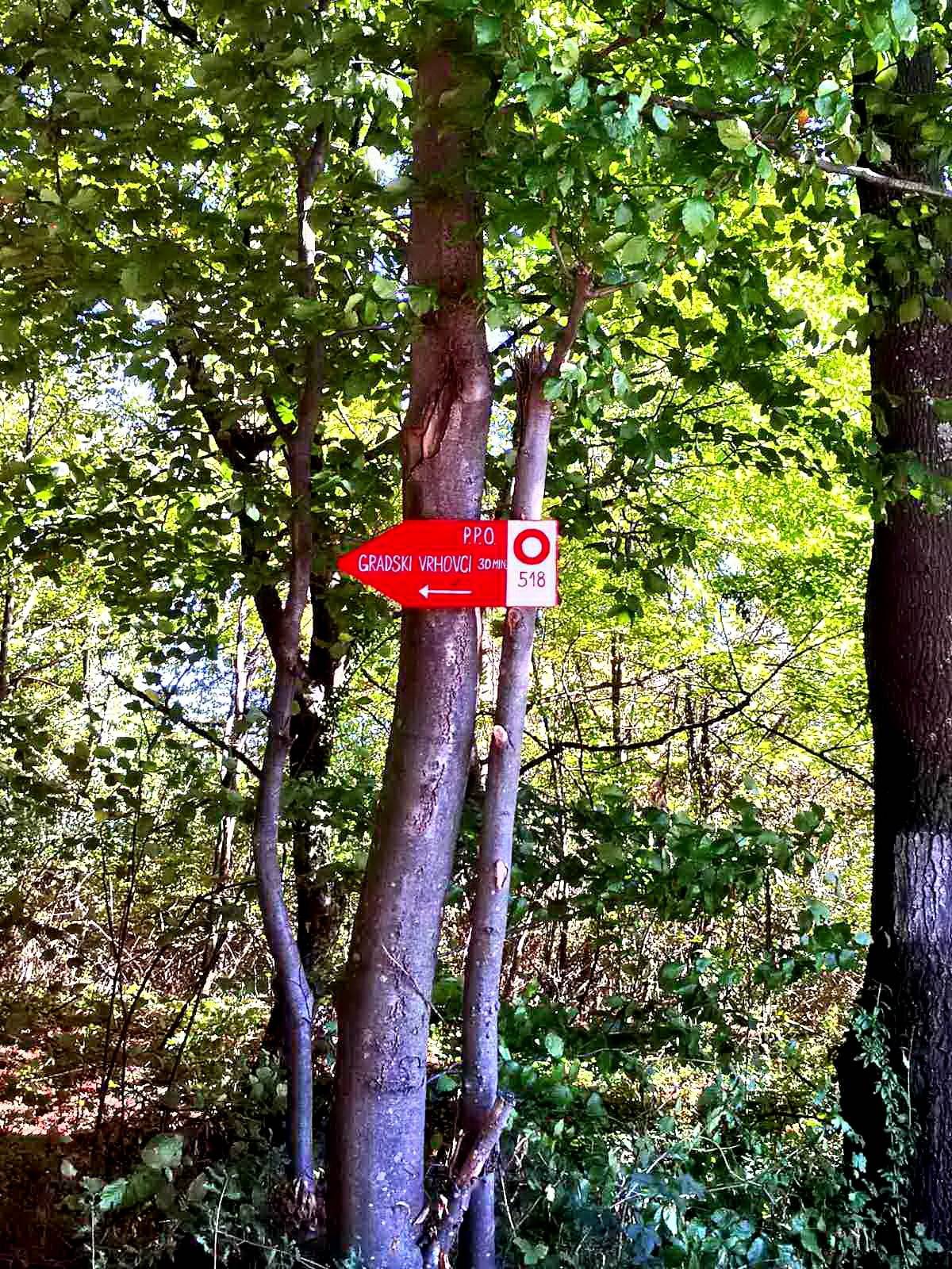 HPD Gojzerica: Požeška planinarska obilaznica i dalje privlači turiste i planinare