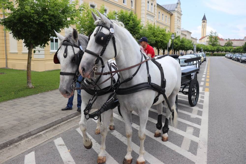 Na Danu zdravlja u Lipiku u mnoštvu aktivnosti uživali posjetitelji svih dobnih skupina 