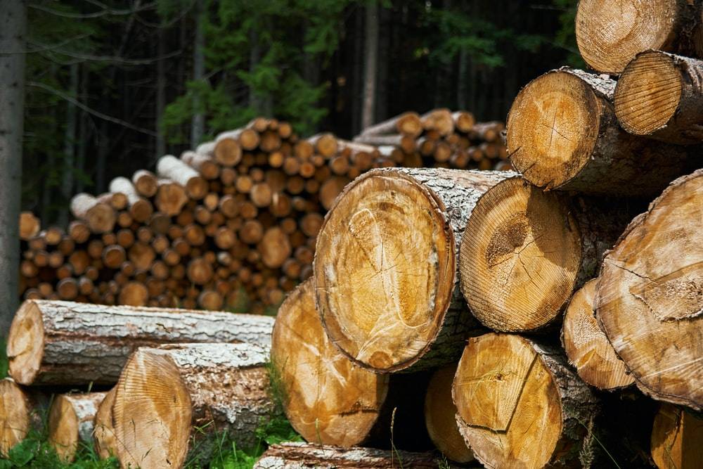 Požeška policija poziva na oprez: Građani putem interneta naručuju drva koja im se isporuče u znatno manjoj količini od plaćene 