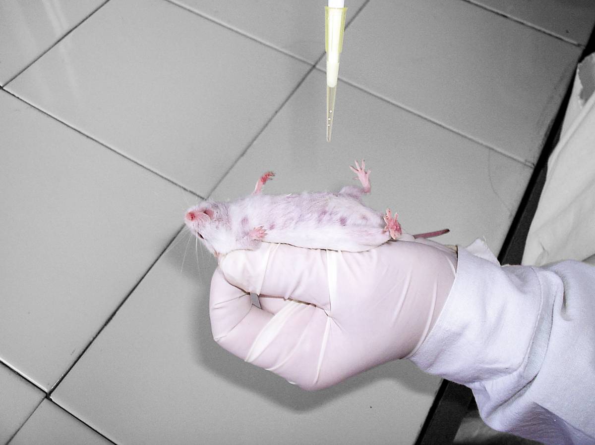 Daj svoj glas za spas životinja od okrutnosti pokusa: Potpisi se skupljaju do kolovoza 2022.g