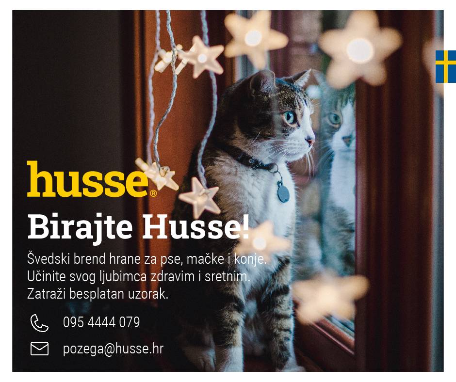 Husse savjetuje: Hranidba mačaka nakon sterilizacije