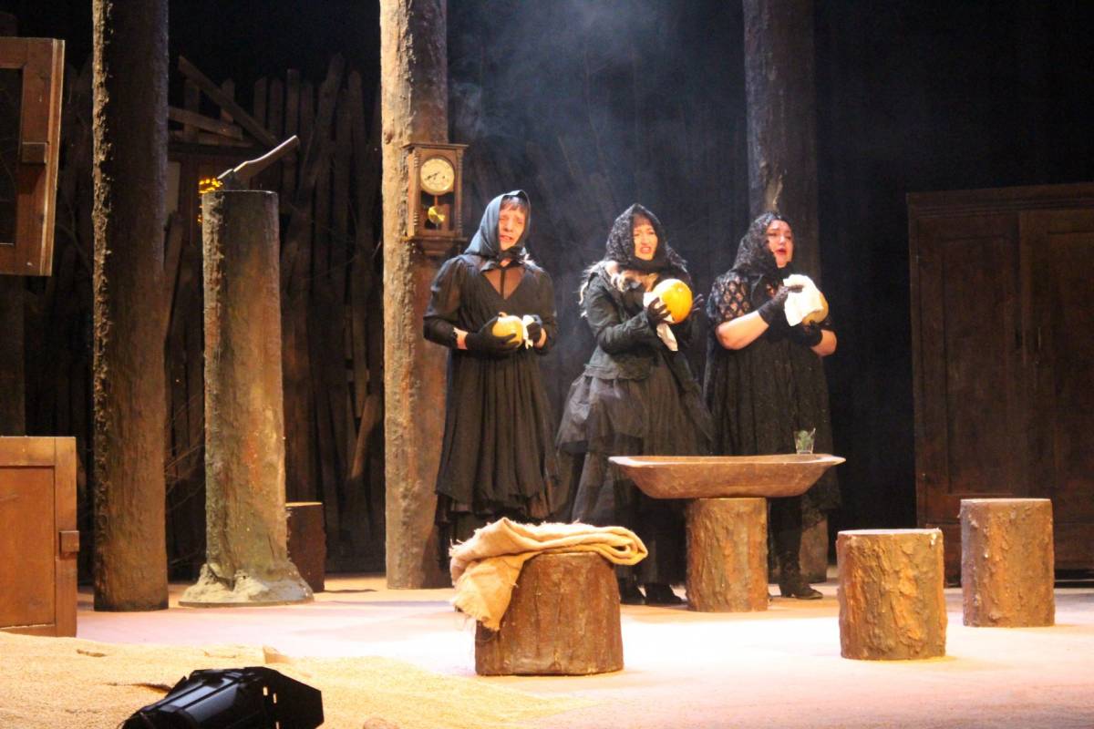 Premijera predstave ʺTena-kronika raspada jedne ljepoteʺ oduševila Požežane