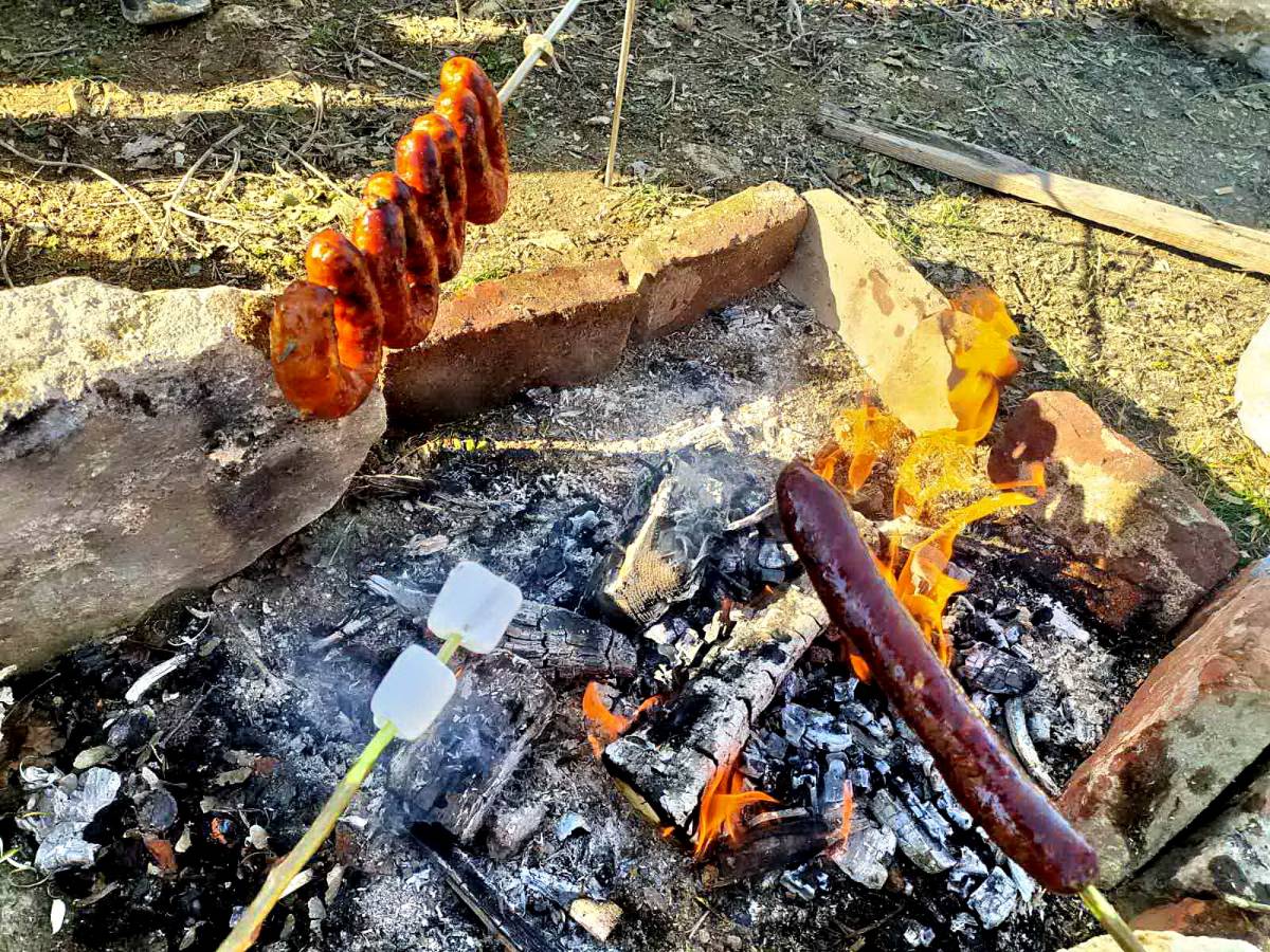 Planinarsko-edukativni izlet ʼʼGojzericaʼʼ i ʼʼPegazaʼʼ na Rudine