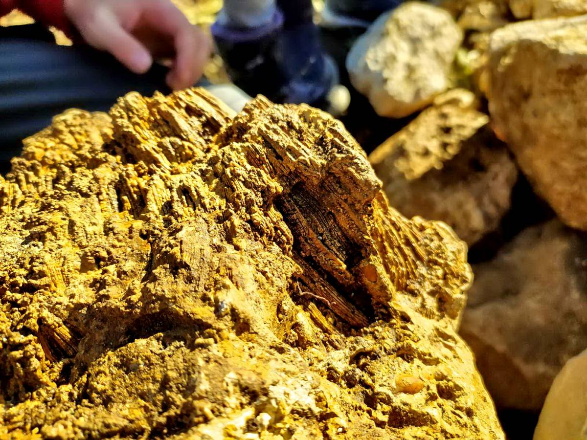 Planinarsko-edukativni izlet ʼʼGojzericaʼʼ i ʼʼPegazaʼʼ na Rudine