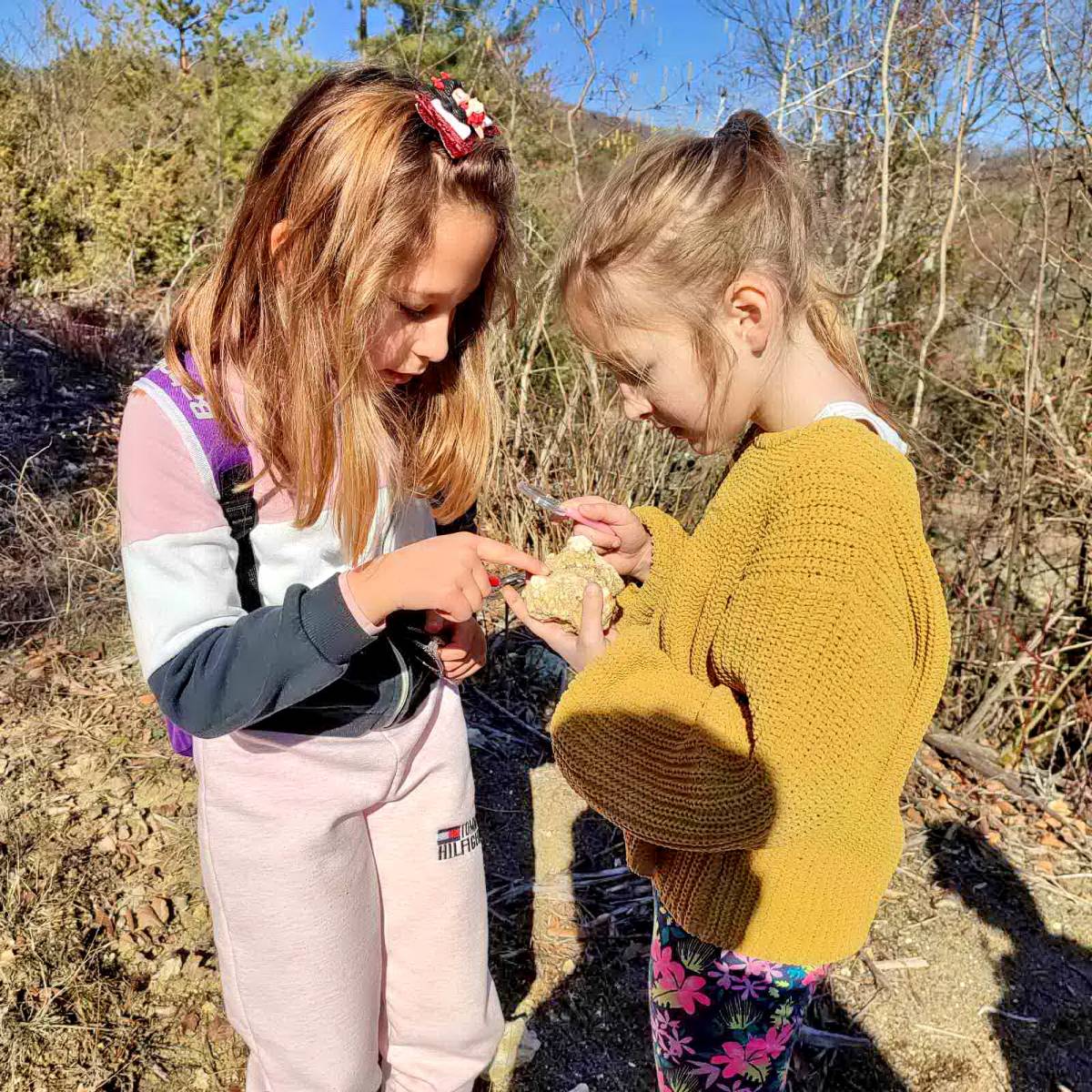 Planinarsko-edukativni izlet ʼʼGojzericaʼʼ i ʼʼPegazaʼʼ na Rudine