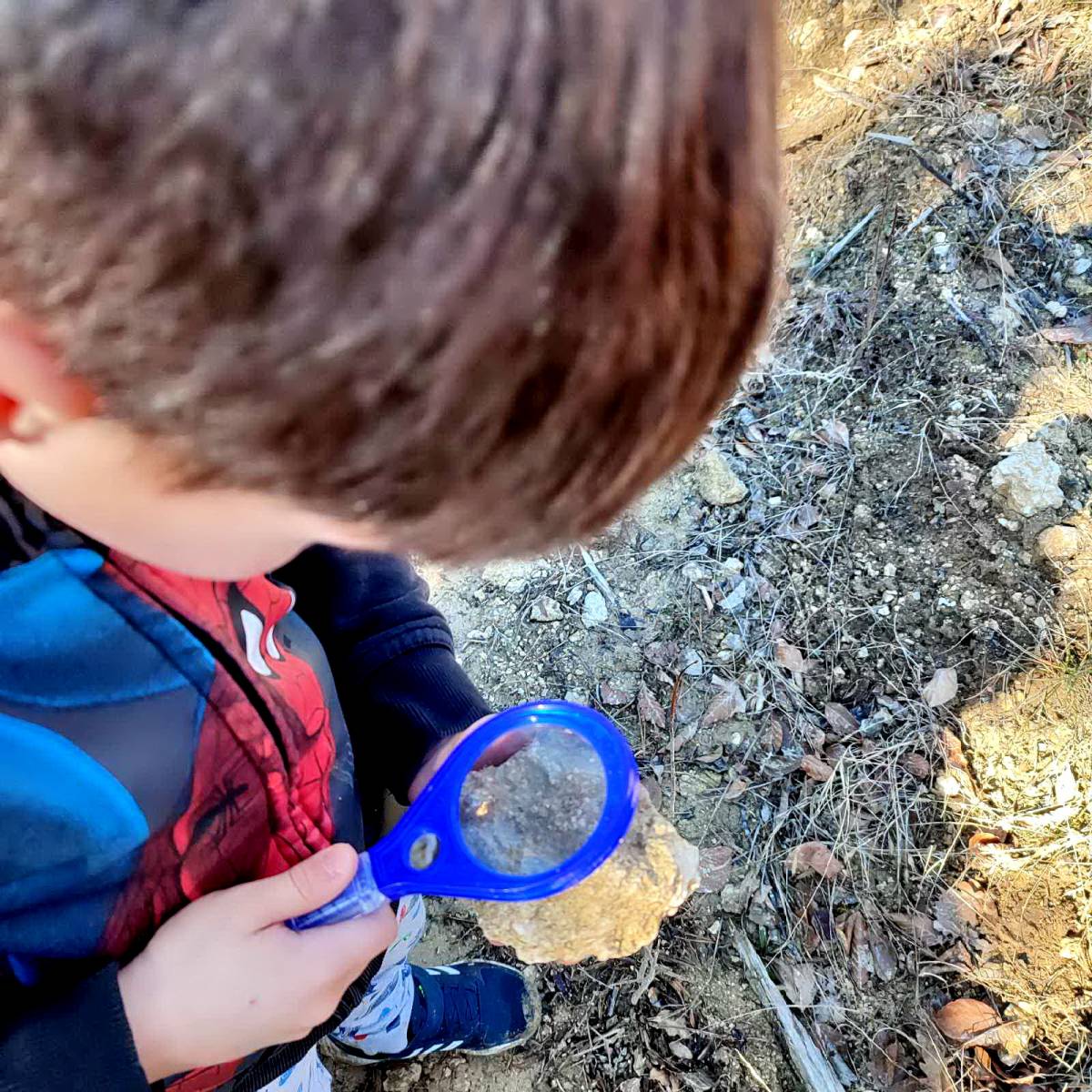 Planinarsko-edukativni izlet ʼʼGojzericaʼʼ i ʼʼPegazaʼʼ na Rudine