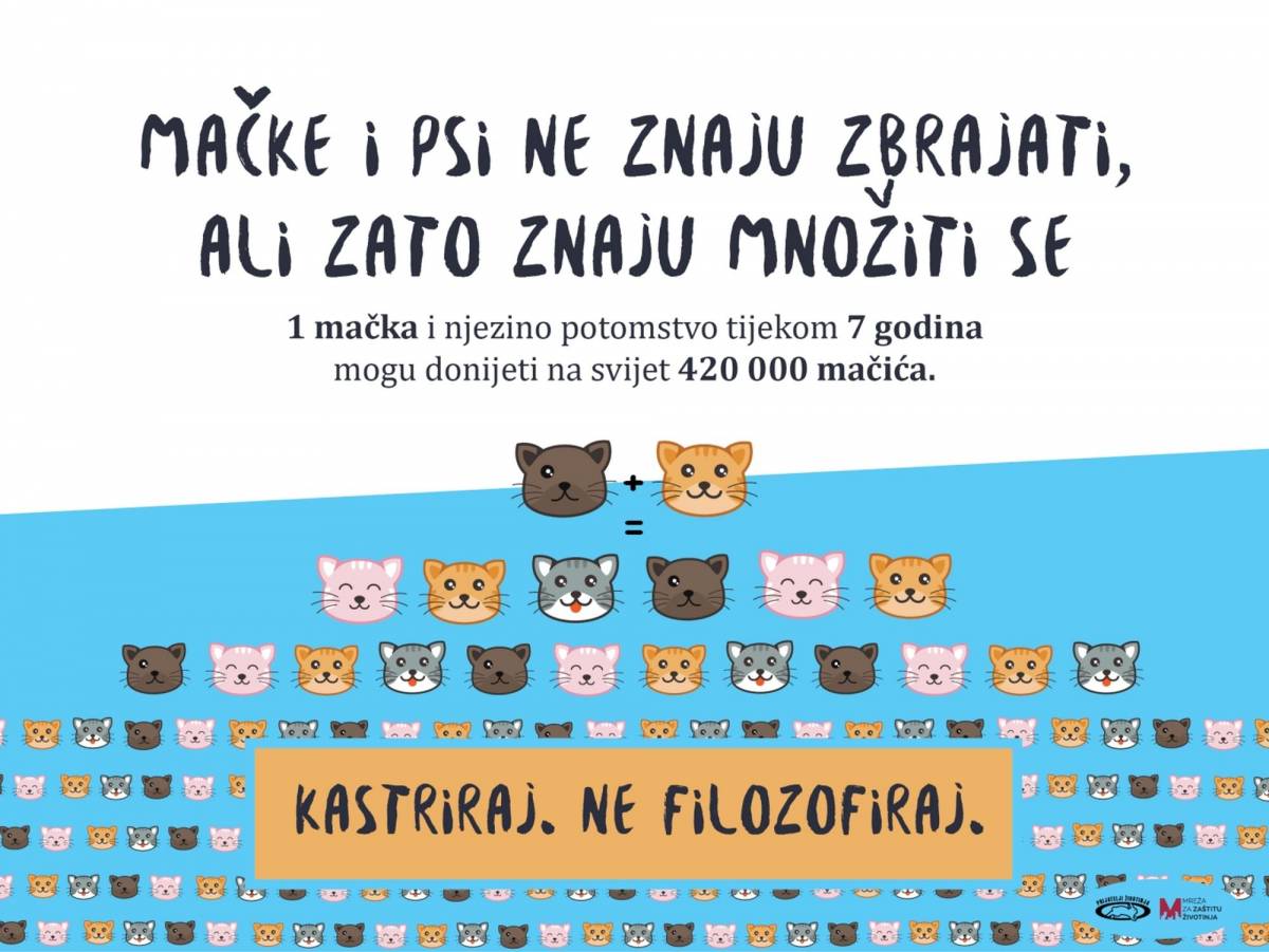 PRIJATELJI ŽIVOTINJA: Danas je Svjetski dan kastracije pasa i mačaka  