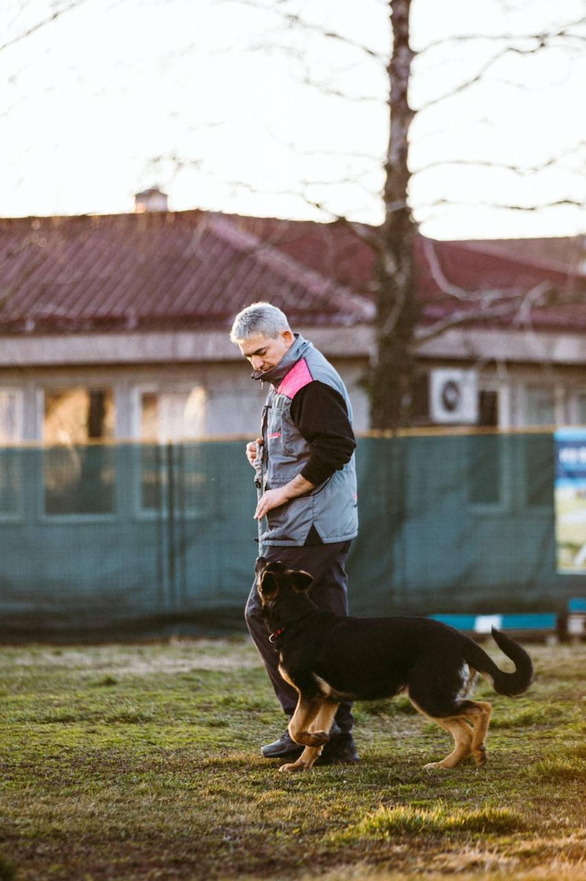 Požeški Komunalac odobrio korištenje površine za trening osnova poslušnosti i socijalizacije pasa