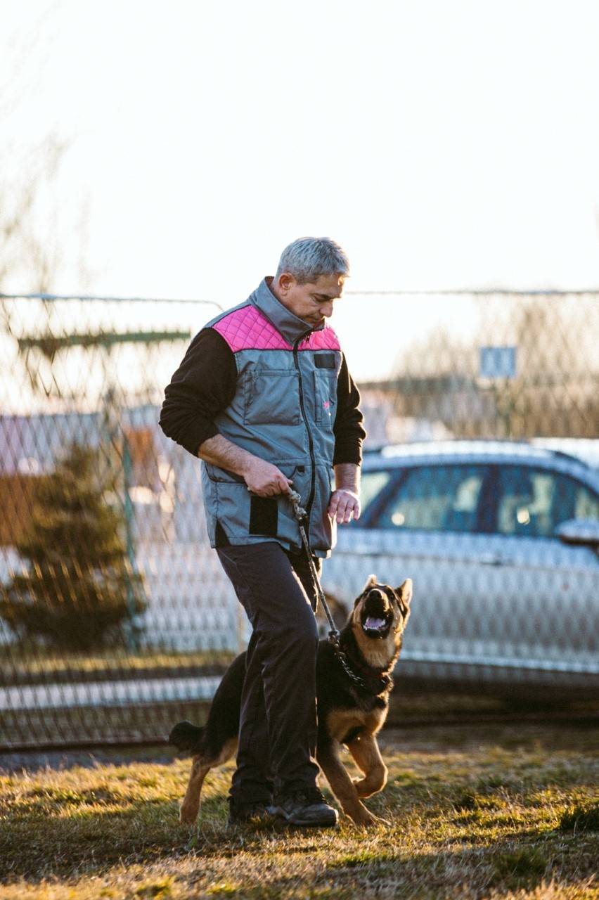 Požeški Komunalac odobrio korištenje površine za trening osnova poslušnosti i socijalizacije pasa