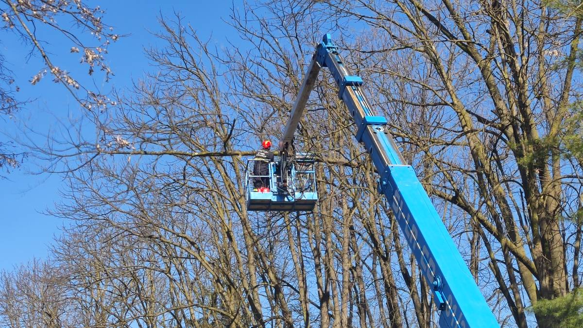 OREZIVANJE DRVEĆA: Posebna regulacija prometa u Pleternici