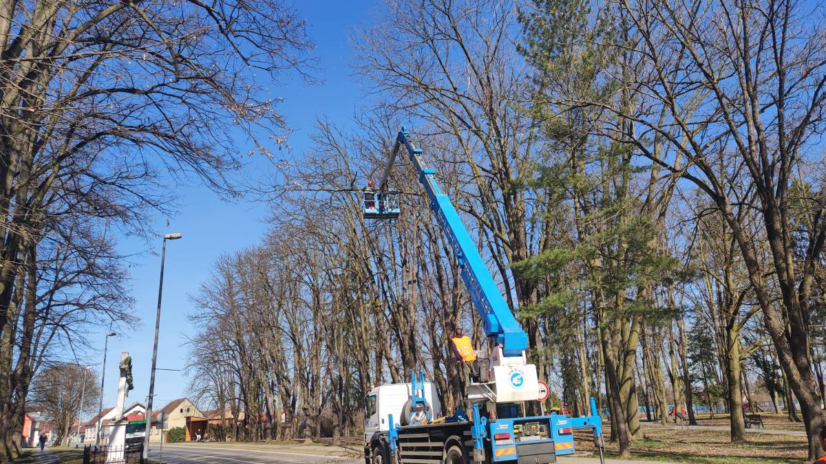 OREZIVANJE DRVEĆA: Posebna regulacija prometa u Pleternici