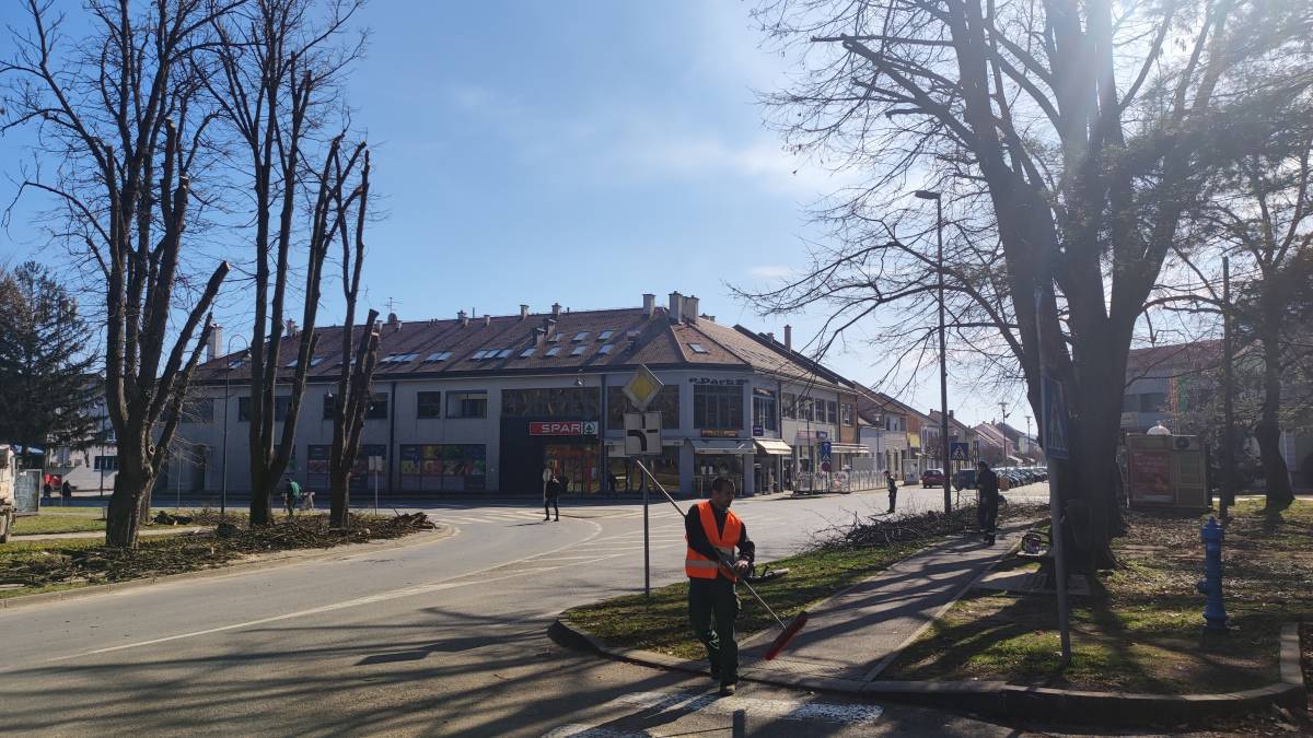 OREZIVANJE DRVEĆA: Posebna regulacija prometa u Pleternici
