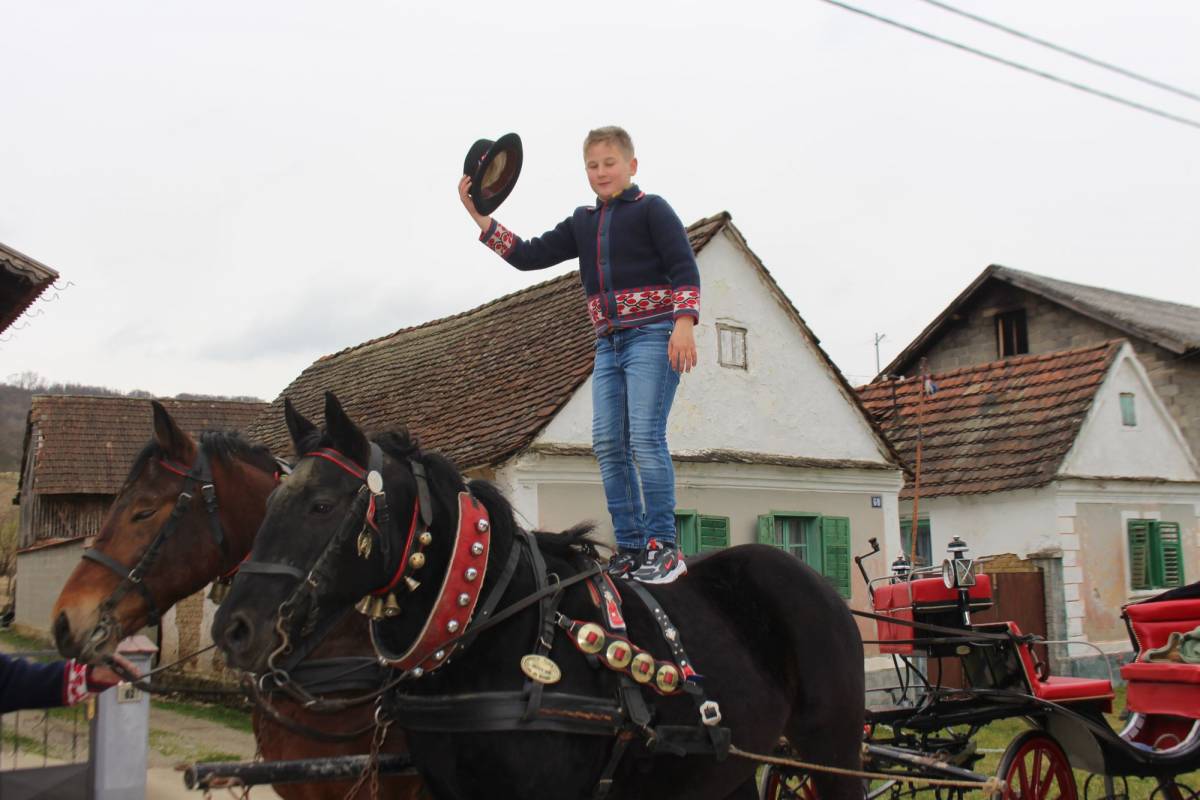 Niko Horvat (10) je prvi put zajahao konja sa samo dvije godine, a sada im toliko vjeruje da im čak stoji na leđima 