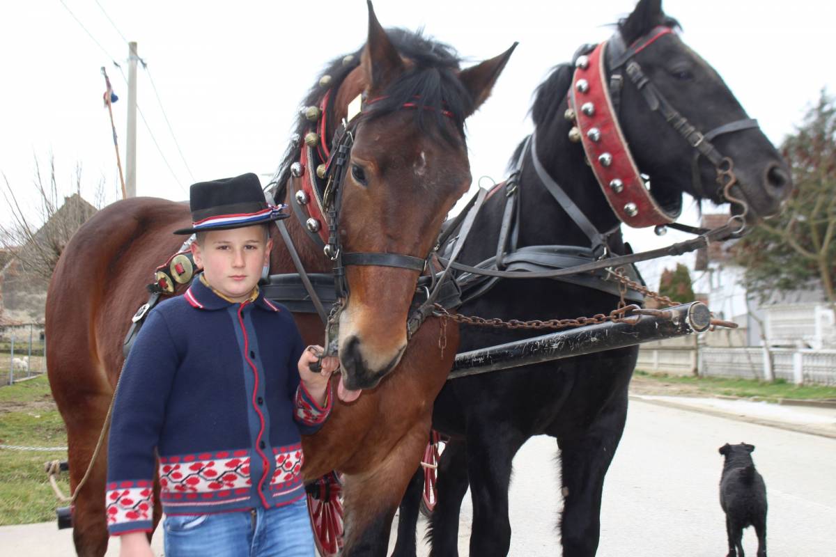 Niko Horvat (10) je prvi put zajahao konja sa samo dvije godine, a sada im toliko vjeruje da im čak stoji na leđima 