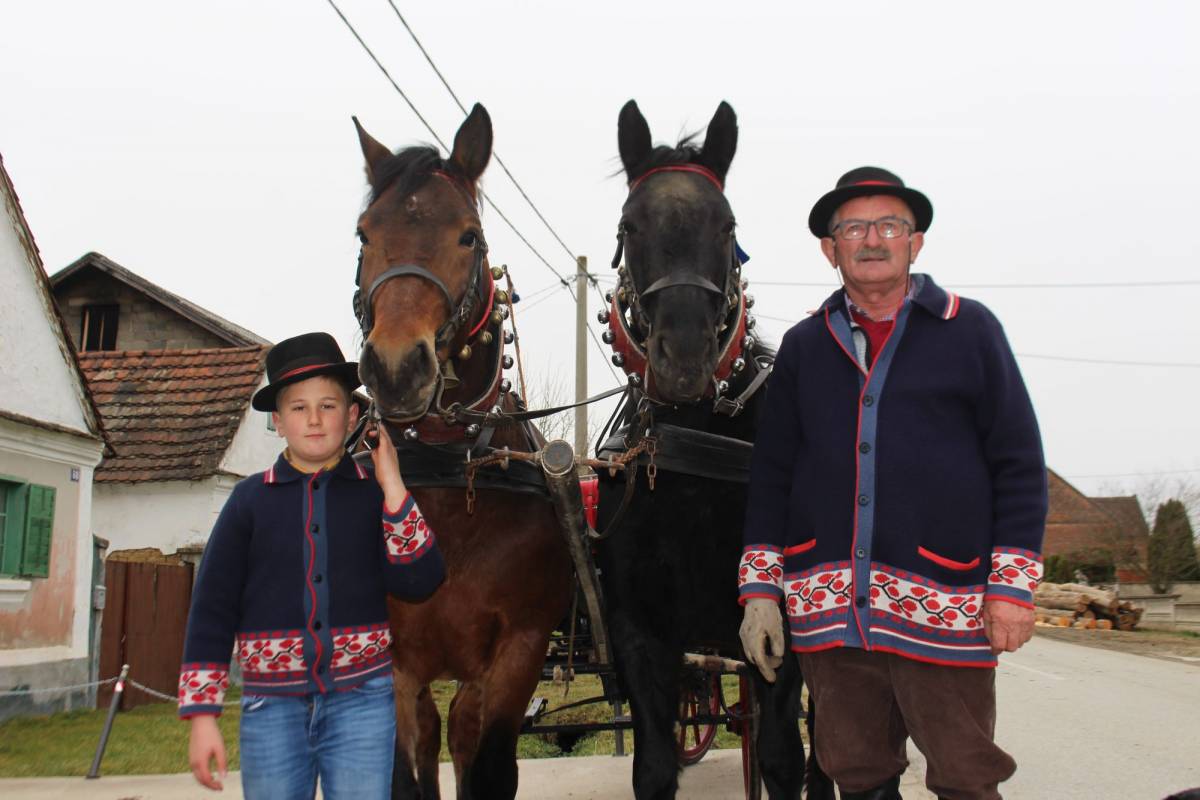 Niko Horvat (10) je prvi put zajahao konja sa samo dvije godine, a sada im toliko vjeruje da im čak stoji na leđima 