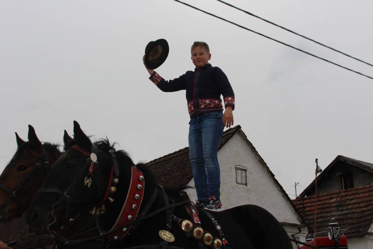 Niko Horvat (10) je prvi put zajahao konja sa samo dvije godine, a sada im toliko vjeruje da im čak stoji na leđima 