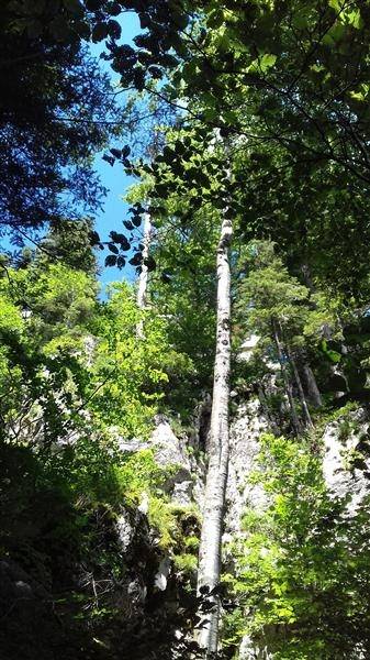 Povodom 120. obljetnice planinari HPD Sokolovac na izletima u NP Una, Osječenica, Bihać i Kozara
