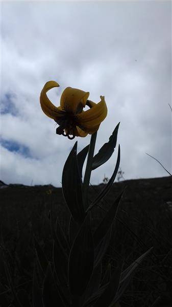 Povodom 120. obljetnice planinari HPD Sokolovac na izletima u NP Una, Osječenica, Bihać i Kozara