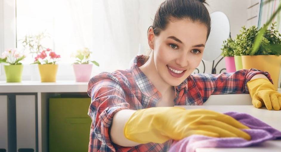 Domaćice svaki mjesec zarade 4500 kn, no nitko im ne plati ni lipe