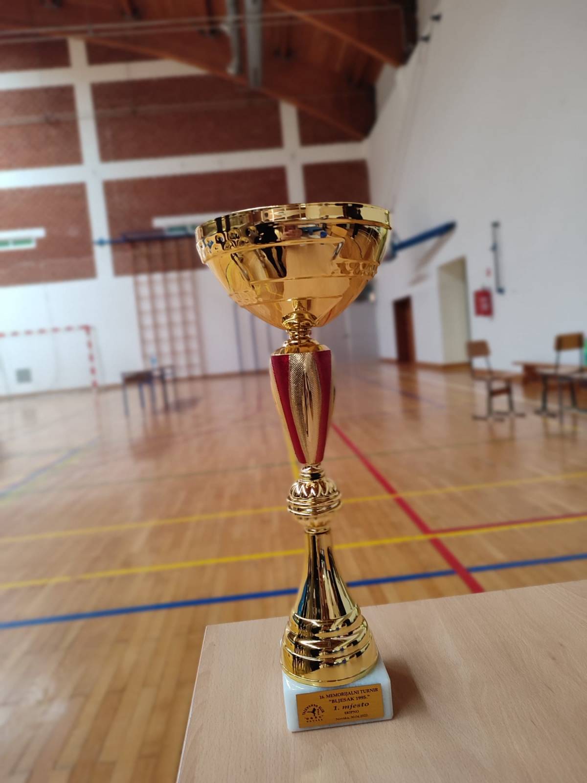 Taekwon-do klub „Velika“ prvak memorijalnog taekwondo turnira Bljesak
