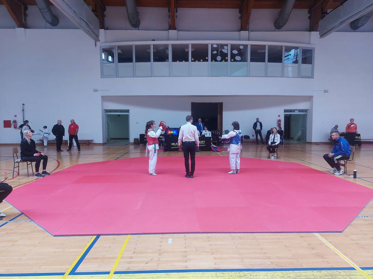 Taekwon-do klub „Velika“ prvak memorijalnog taekwondo turnira Bljesak
