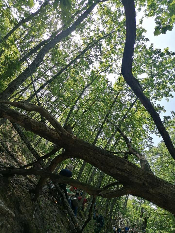 Izlet Požeških planinara na Jubilarni jankovački planinarski put