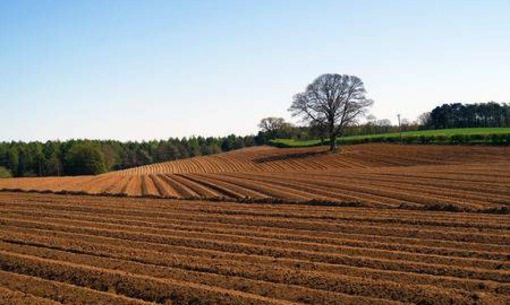 Izglasan Zakon o poljoprivrednom zemljištu