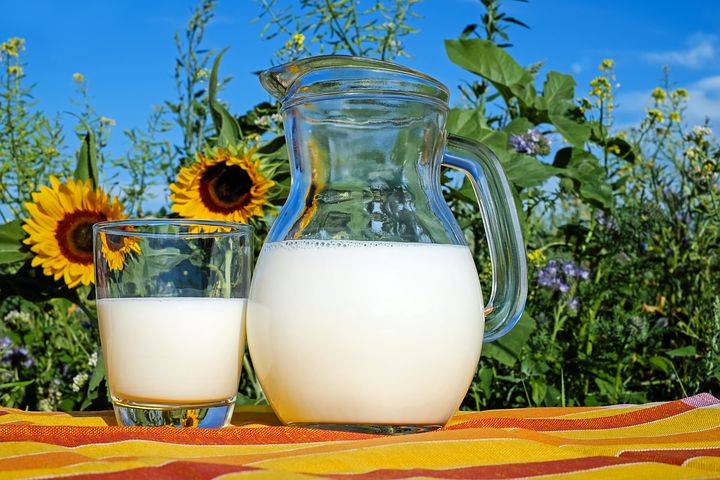 Hoće li se proizvodnja mlijeka u Hrvatskoj ugasiti?