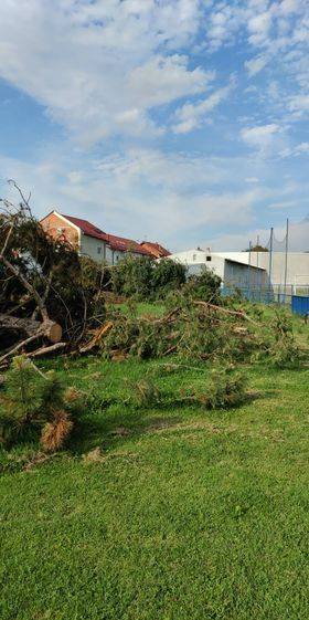 Građani uznemireni: ʺPaliʺ i borovi na Rekreacijskom centru u Požegi