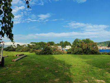 Građani uznemireni: ʺPaliʺ i borovi na Rekreacijskom centru u Požegi