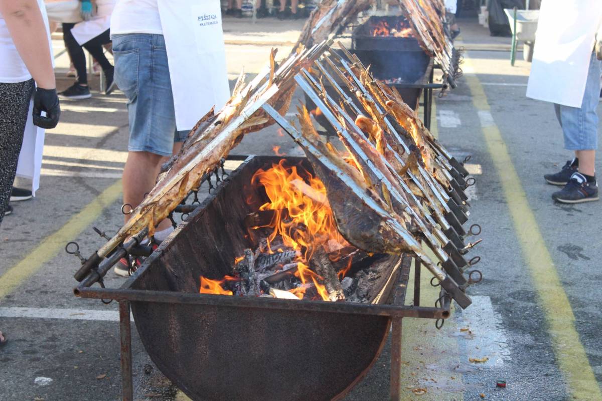 Održana Fišijada u Pleternici