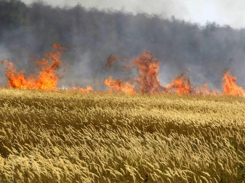 Izgorjelo oko 14 hektara žita. Policija poslala apel