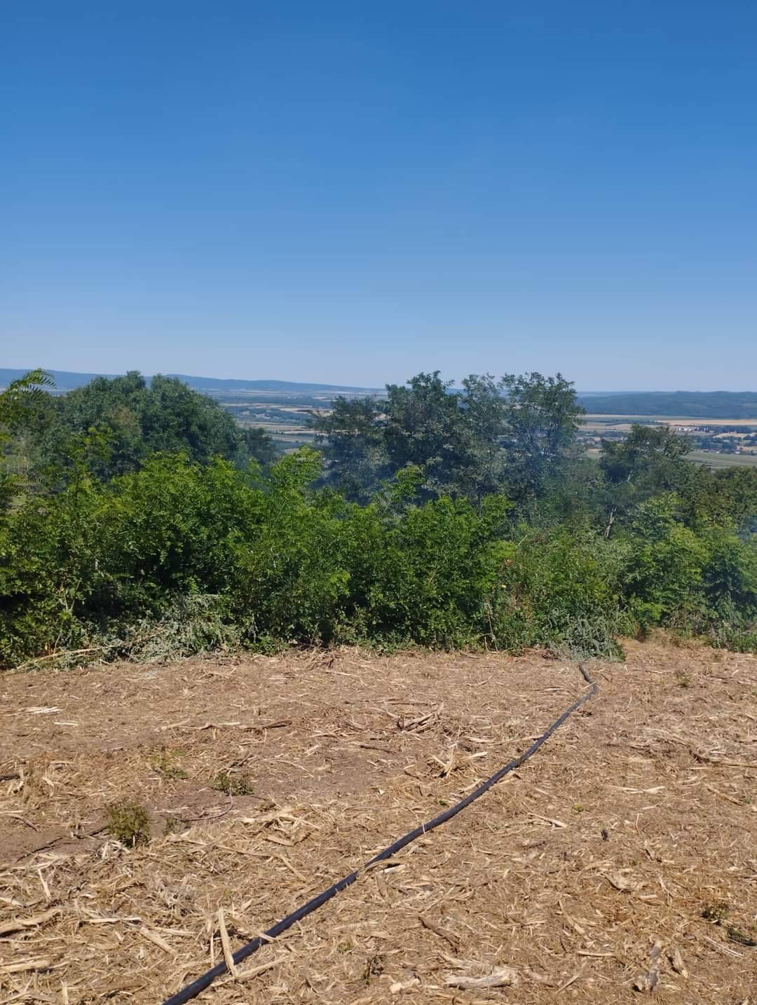 PLETERNICA: 65-godišnjak u požaru izgubio 2 hektara vinograda