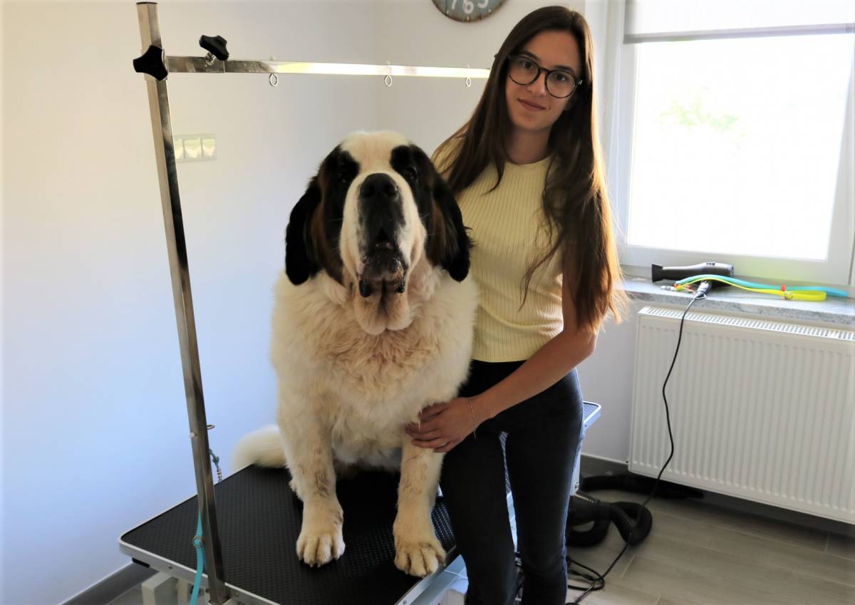 Andrijana Prebeg otvorila prvi salon za njegu pasa u Pakracu