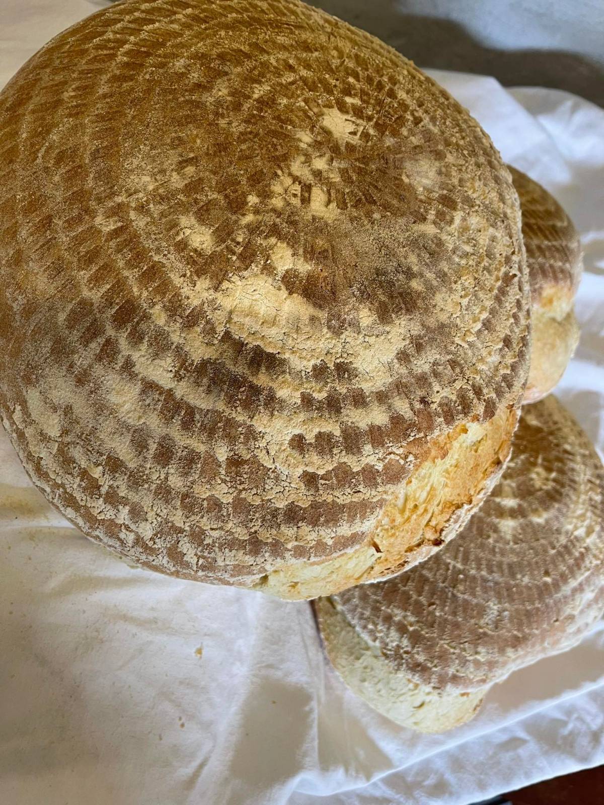 OKUS TRADICIJE, MIRIS SLAVONIJE: Domaći kruh iz krušne peći stiže na kućne adrese Požežana