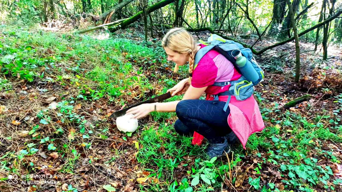 Planinari HPD Gojzerice Požega održali radnu akciju markiranja staza