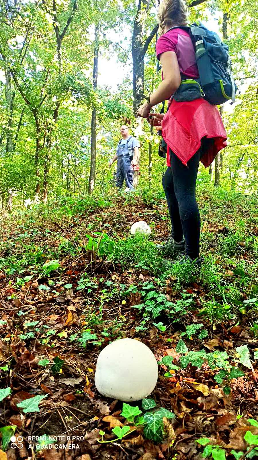 Planinari HPD Gojzerice Požega održali radnu akciju markiranja staza