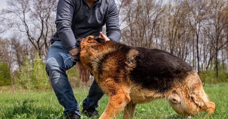 Još jedan napad psa na čovjeka u Slavonskom Brodu