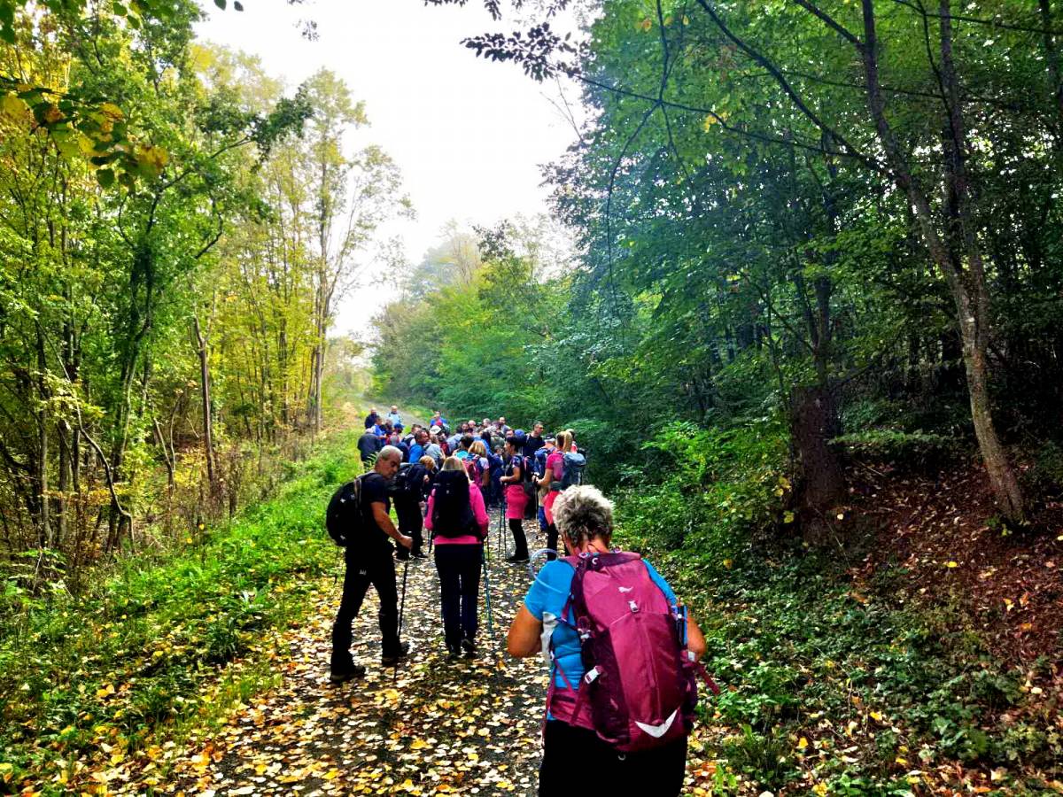 Održan 2. Memorijalni pohod: Od Premužića do Štampara