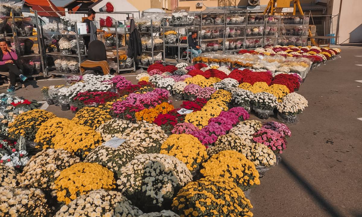 BOGATA PONUDA CVIJETNIH ARANŽMANA U POŽEGI I PLETERNICI: ʺProdaja je pala, a cijene porasle...ʺ