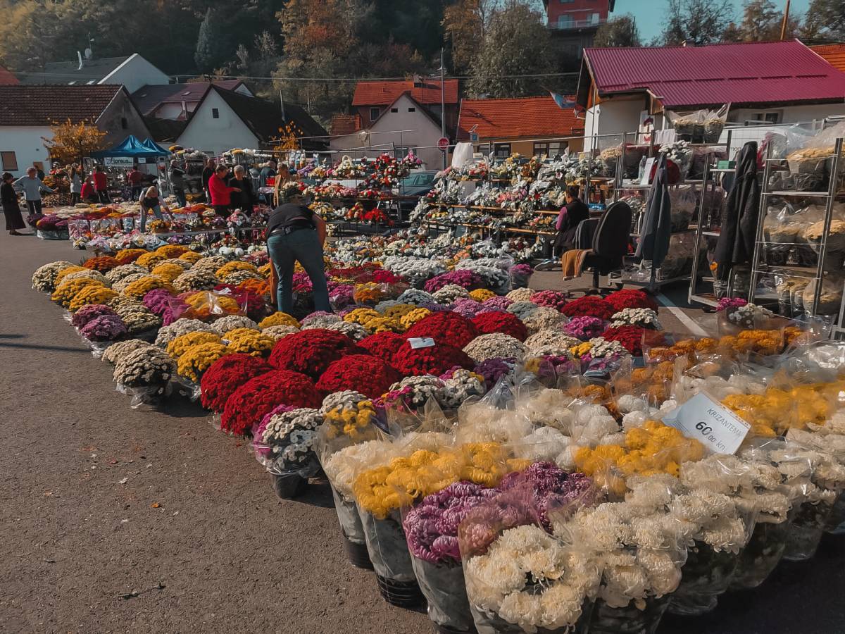 BOGATA PONUDA CVIJETNIH ARANŽMANA U POŽEGI I PLETERNICI: ʺProdaja je pala, a cijene porasle...ʺ