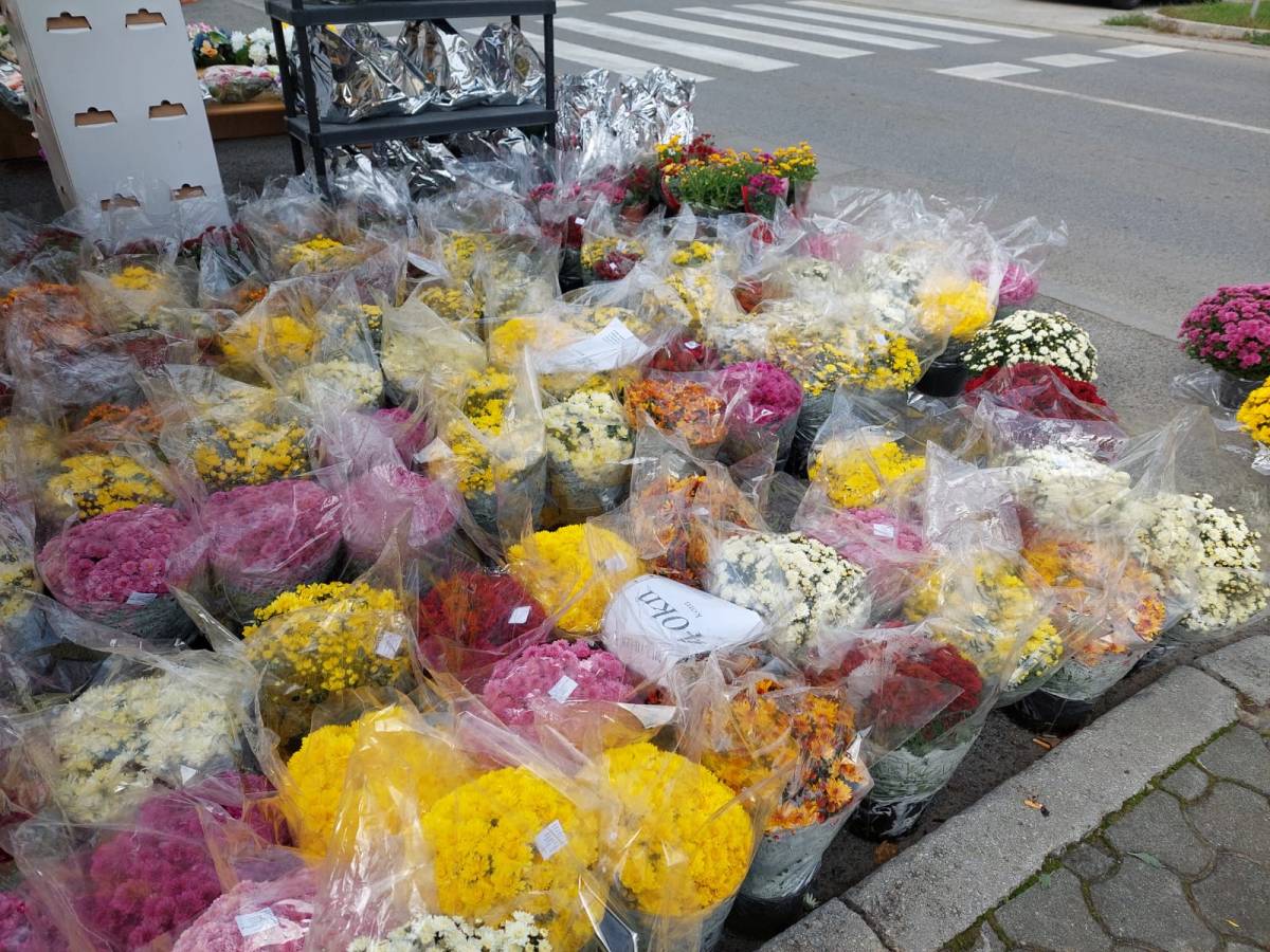 BOGATA PONUDA CVIJETNIH ARANŽMANA U POŽEGI I PLETERNICI: ʺProdaja je pala, a cijene porasle...ʺ