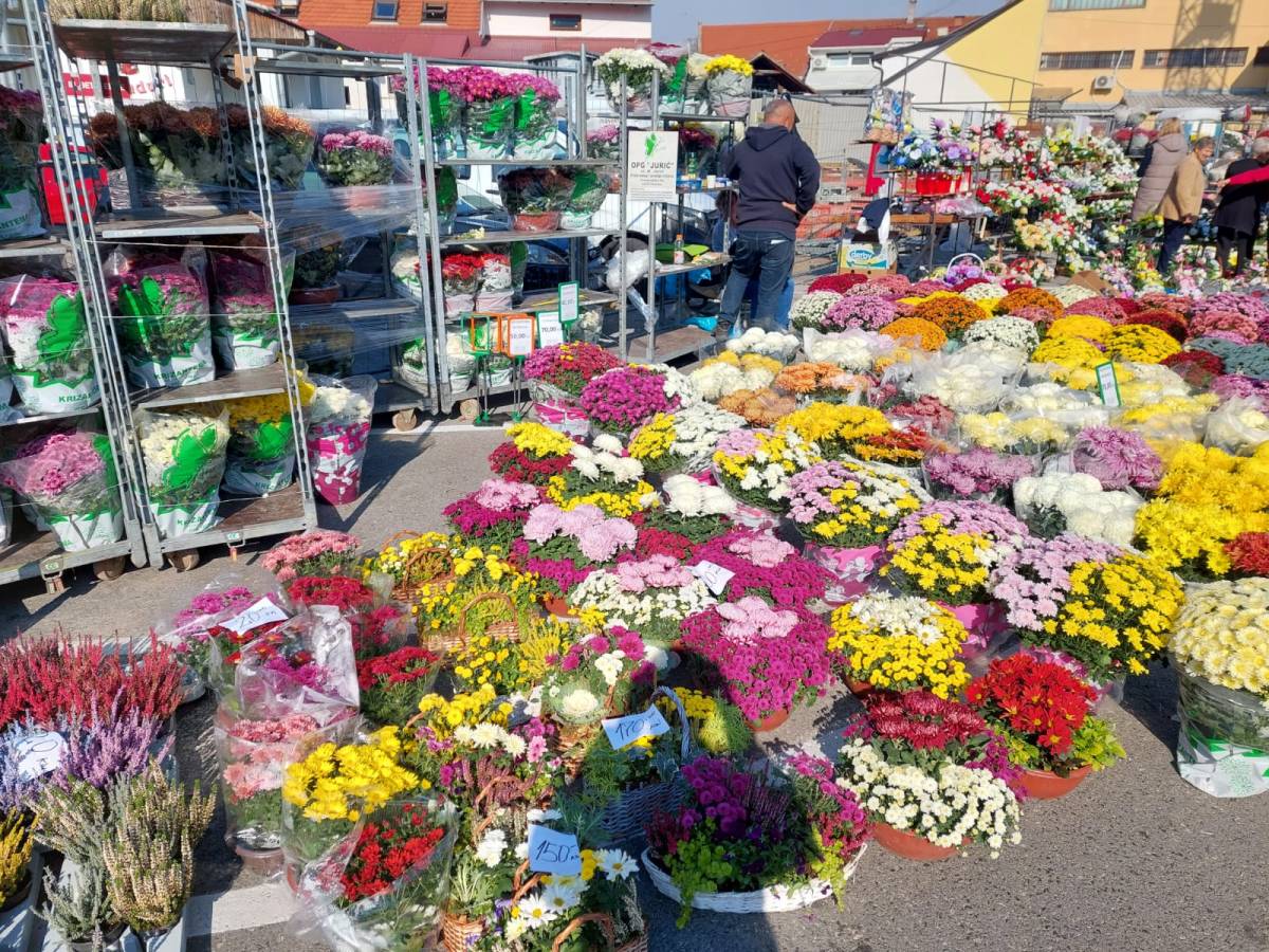 BOGATA PONUDA CVIJETNIH ARANŽMANA U POŽEGI I PLETERNICI: ʺProdaja je pala, a cijene porasle...ʺ