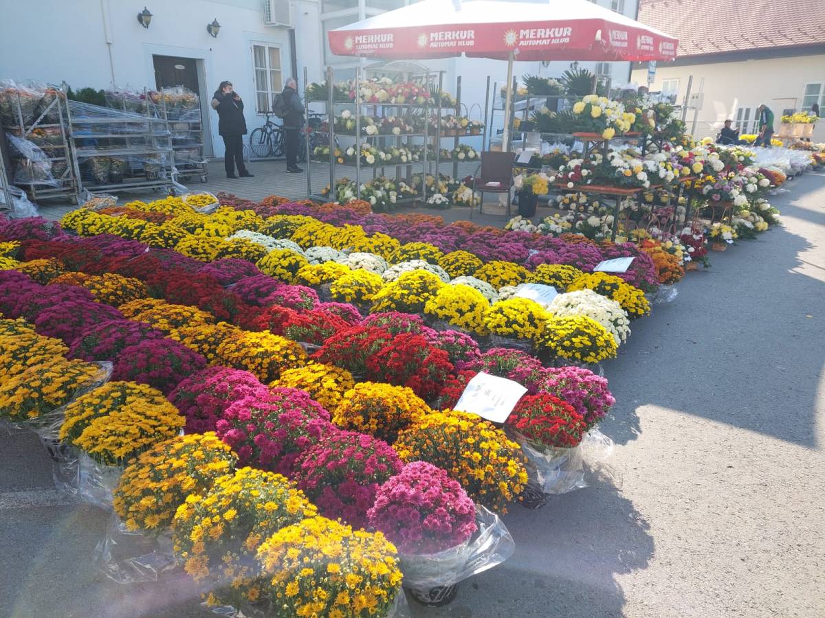 BOGATA PONUDA CVIJETNIH ARANŽMANA U POŽEGI I PLETERNICI: ʺProdaja je pala, a cijene porasle...ʺ