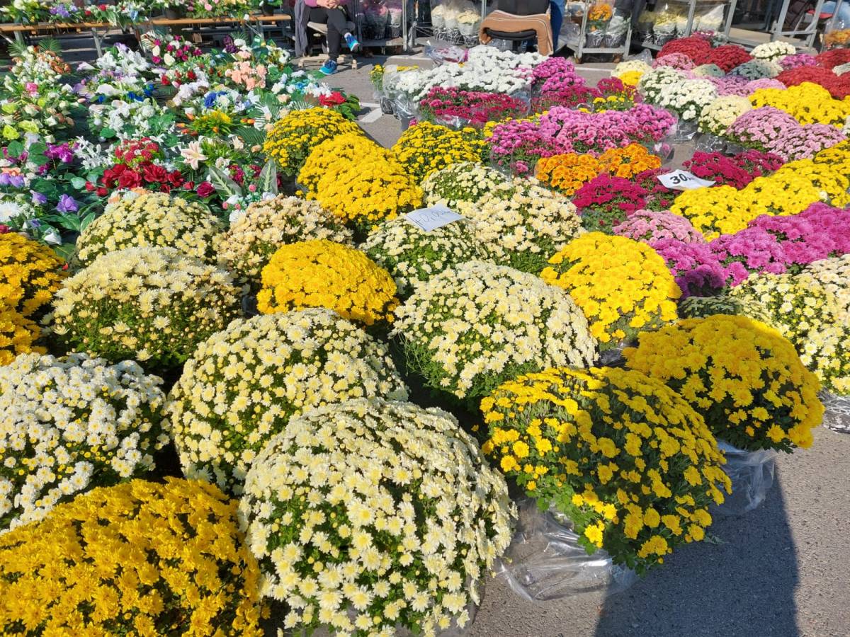 BOGATA PONUDA CVIJETNIH ARANŽMANA U POŽEGI I PLETERNICI: ʺProdaja je pala, a cijene porasle...ʺ
