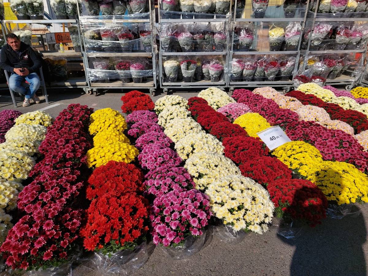 Vlada RH će za Svi svete dozvoliti prodaju svijeća, lampiona i cvijeća!