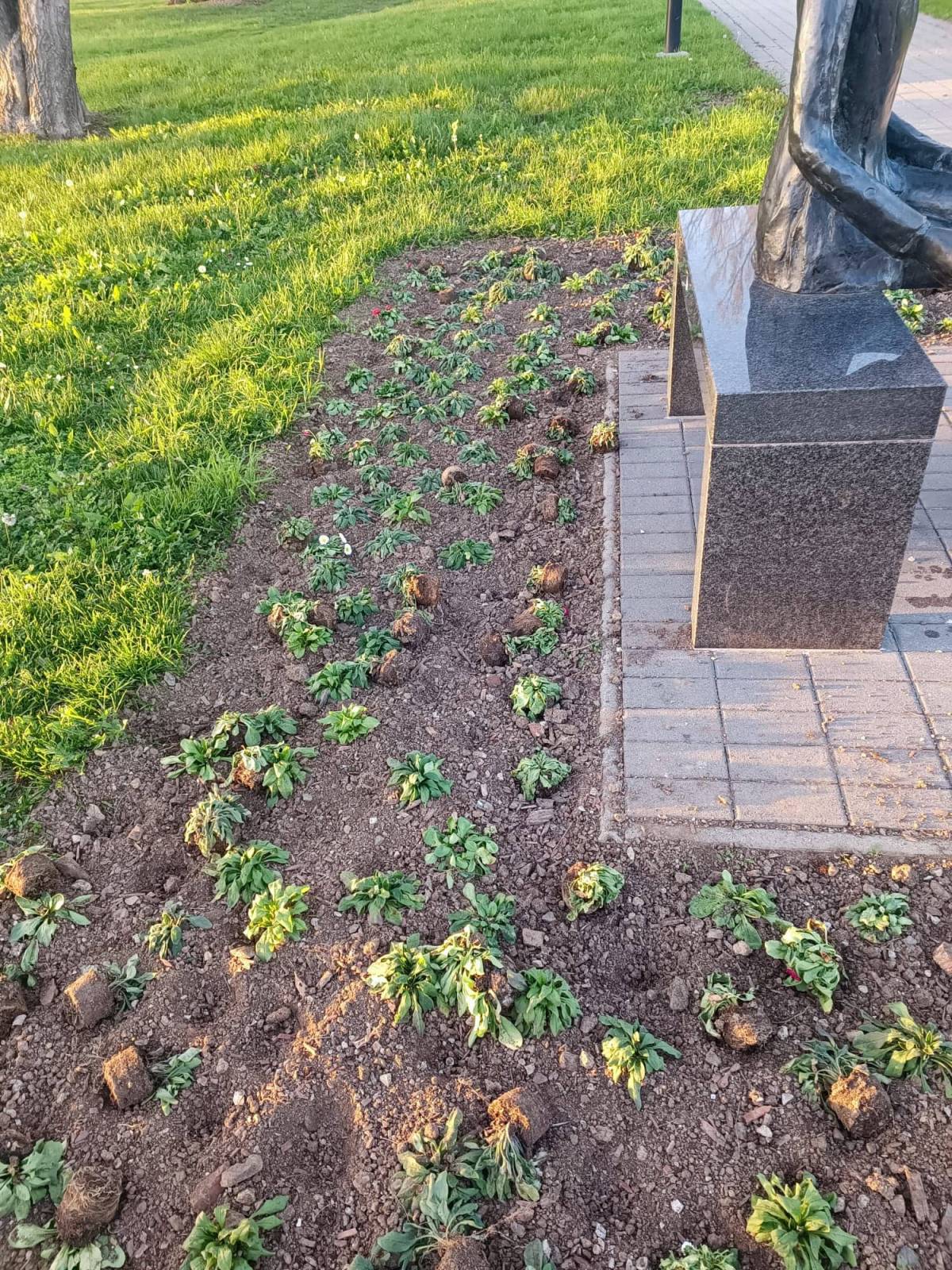 ŠTO JE OVO?! Kod spomenika Nikoli Tesli iščupane sadnice dočekuju prolaznike